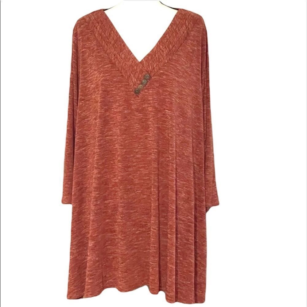 Rust Tunic By Mirror Image Relaxed Fit